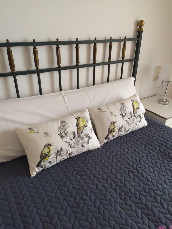 Apartamento Villa 3 빌라가르시아 데 아로우사 외부 사진